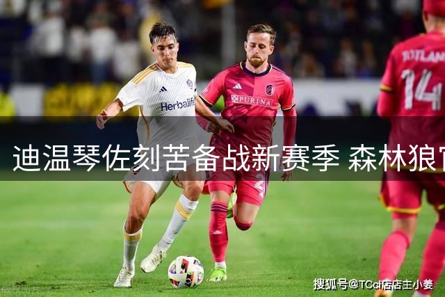 迪温琴佐刻苦备战新赛季 森林狼官方晒训练照引期待